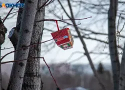 Все еще не ниже 10 градусов: погода на понедельник