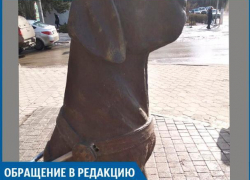 У собаки – поводыря  вандалы украли трость,- волжанка