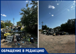 СНТ Строитель тонет в мусоре: дачники бьют тревогу из-за невывоза отходов и стихийной свалки