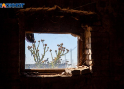 Нетипичный туризм: под Волжским можно увидеть бараки Ахтублага