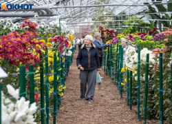 Цветущий рекорд и глобальная перезагрузка: Волжский ботсад ставит исторические максимумы