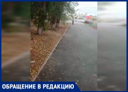 «Это самая грязная территория на протяжении всей улицы Мира», - волжанка