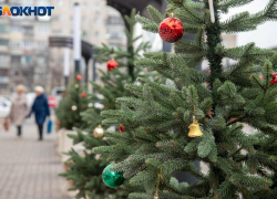 Огненная лошадь на пороге: как встретить Новый год, чтобы привлечь удачу и гармонию