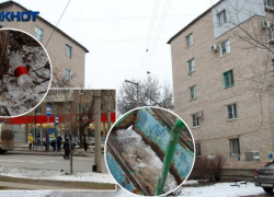 Граффити, мусор и один автобус: на что жалуются жители «отрезанного» 8-го микрорайона Волжского