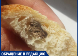 "Это не таракан. Может, половина мышки", - волжанка