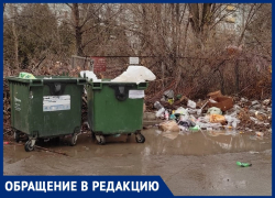 «Ветки лежат с самого лета»: в Волжском не вывозят мусор со двора многоквартирного дома