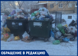 «За что платим?»: жители многоквартирного дома в Волжском в отчаянии из-за мусорного коллапса