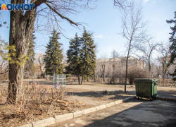 Много важных рабочих вопросов появится во вторник: гороскоп
