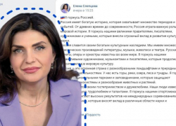 Депутат Волжской гордумы Елена Слепцова опубликовала на своей странице школьное сочинение и выдала его за свое