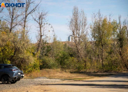 Финансирование охраны лесов в Волгоградской области увеличат почти на треть