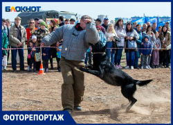 Схватить и уничтожить: как тренируют собак, выступавших в Волжском