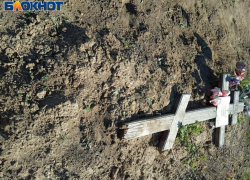«Сшибают памятники и топчутся на могилах»: табун коней пасут на кладбище близ Волжского