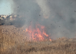В Волгограде ландшафтный пожар уничтожил дом и три сарая