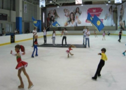 На День зимнего спорта в Волжском устроят ледовое шоу