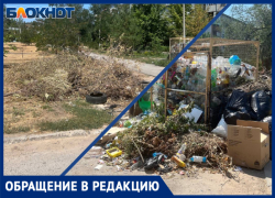 «Мусорная долина с историей в 30 лет»: волжане об улице Мира