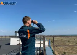 Волжский под угрозой огня: объявлена высокая пожарная опасность