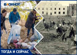 Волжские субботники: от комсомольских воскресников до эко‑квестов