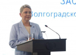 Нового детского омбудсмена выбрали в Волгоградской области