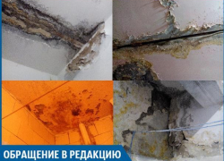 Директор УК только обещает нам нормальную жизнь, - волжанин