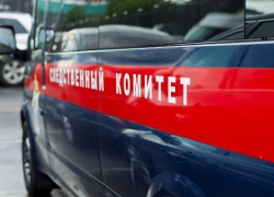 Следователи разбираются в обстоятельствах гибели детей при пожаре под Волгоградом