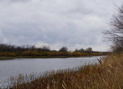 Безопасно и стабильно: радиационная обстановка в Волгоградской области без отклонений