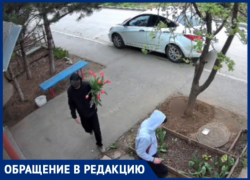 Вандалы-романтики: в Волжском подростки оборвали цветы на клумбе