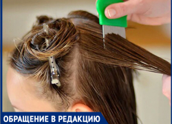 "Ребенок приехал из лагеря с головой полной вшей",-волжанка