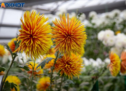 День Мины Красноречивого: традиции, приметы и запреты