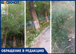 Битва при «Лада-Дом»: сухостой одолевает дворы в Волжском