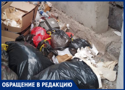«Устроили свалку у себя под носом»: в Волжском жители недовольны горой мусора