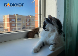 В Волжском сообщили, когда включат отопление 