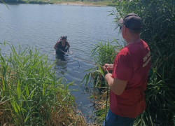 Мужчина утонул в городском пруду, не доплыв до берега в Котово