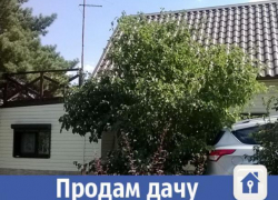 Цветущую дачу рядом с Волгой продают в Волжском