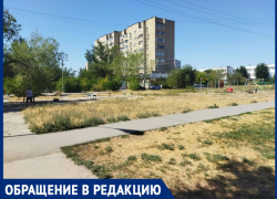 «Территория мечты, которую не замечают»: волжанка просит обустроить пустырь в 23 м микрорайоне Волжского»