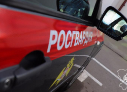 Елочные игрушки и одежда стали добычей злоумышленников в Волжском