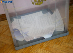 «Мобильный избиратель»: в ЦИК рассказали, как голосовать волжанам на выборах губернатора, если они проживают не по прописке