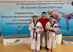Первенство ЮФО по тхэквондо: волжане получили призовые места