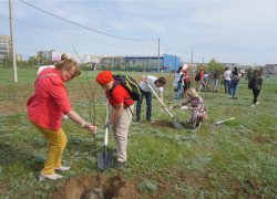 В Волжском снова начнут озеленять город