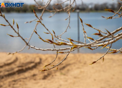 Резкое похолодание ожидает волжан в понедельник