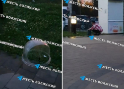 «Тетя моет тазик для попкорна в луже»: в Волжском распространяют скандальное видео из городского парка
