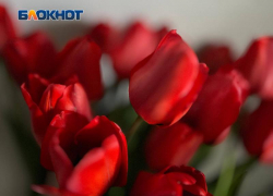 Как Волжский обогнал Петра I и подарил скифам символ любви