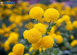 Слабая буря ожидает волжан в воскресенье