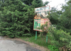 Для волжан продлили запрет на посещение лесов