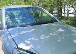 Прокуратура взяла на контроль жестокое ДТП в Волжском, в котором пострадала 9-летняя девочка
