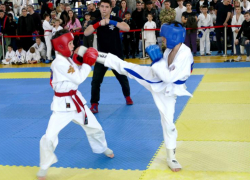 «Ваши победы – это яркое отражение наследия»: Волжская городская Дума присутствовала на ежегодном турнире по рукопашному бою