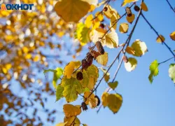 Не купаться в ванной и не красить волосы: приметы на среду