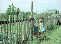 Один день из жизни: фото о советском детстве волжан показал «Блокнот Волжский»