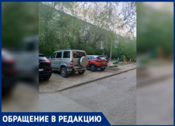 Зеленая зона гибнет под колесами автомобилей в Волжском