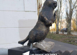 Второй месяц искалеченный суслик грозится упасть со своего фотоаппарата в Волжском