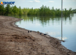 Радиационную обстановку оценили в Волгоградской области